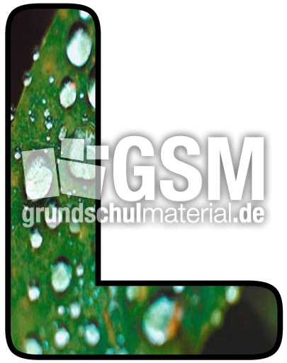 Wetterbuchstabe-L.jpg